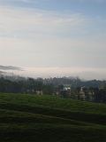 DSC00466
