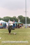 Thumbs/tn_738491_0005.jpg