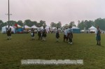 Thumbs/tn_738887_0009.jpg