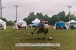 Thumbs/tn_738887_0013.jpg